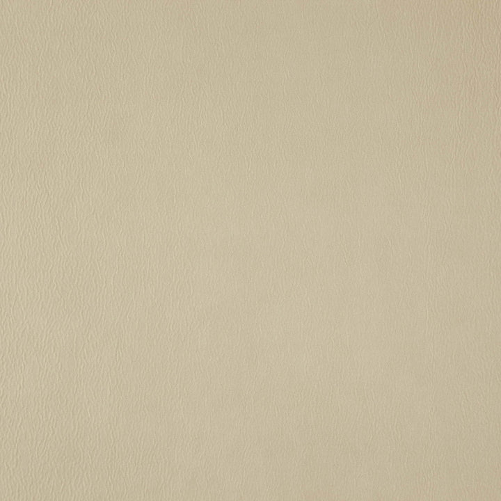 Wisdom 12J7531 by JF Fabric Tannery Basics II Book 100% Polyester China 30000 Horizontal: and Vertical: 55 - Fabric Carolina -