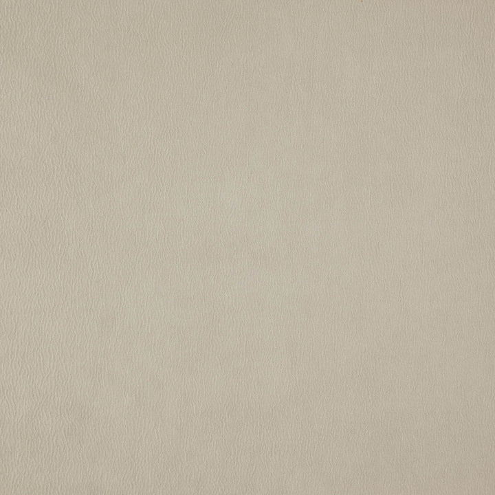 Wisdom 193J7531 by JF Fabric Tannery Basics II Book 100% Polyester China 30000 Horizontal: and Vertical: 55 - Fabric Carolina -