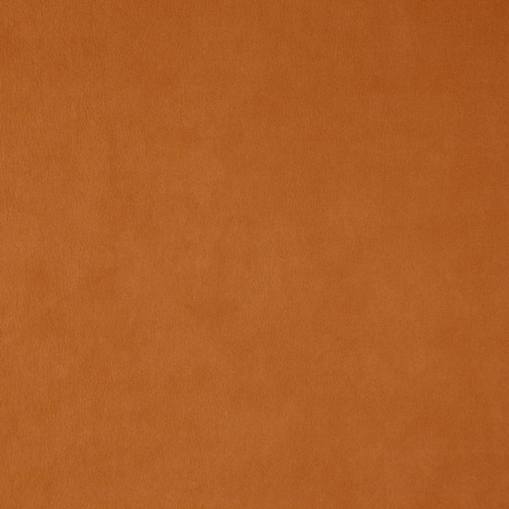WISDOM 26J7531 by JF Fabric Tannery Basics II Book 100% Polyester China Horizontal: and Vertical: 55 - Fabric Carolina -