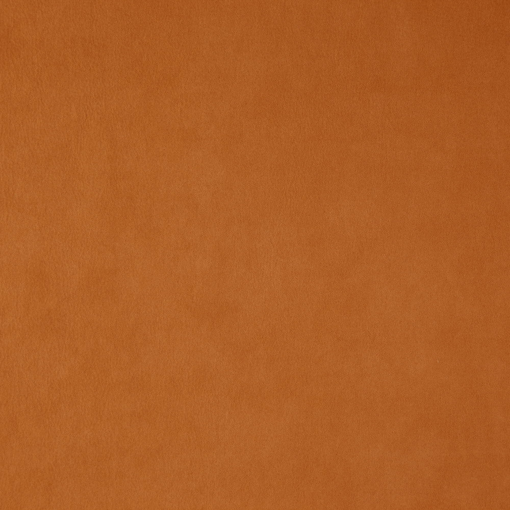 Wisdom 26J7531 by JF Fabric Tannery Basics II Book 100% Polyester China 30000 Horizontal: and Vertical: 55 - Fabric Carolina -