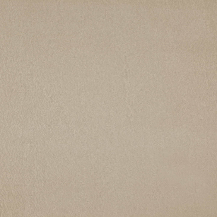 Wisdom 33J7531 by JF Fabric Tannery Basics II Book 100% Polyester China 30000 Horizontal: and Vertical: 55 - Fabric Carolina -