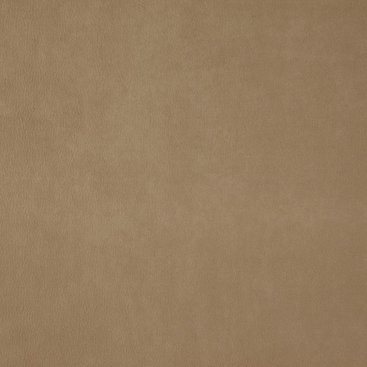 Wisdom 34J7531 by JF Fabric Tannery Basics II Book 100% Polyester China 30000 Horizontal: and Vertical: 55 - Fabric Carolina -