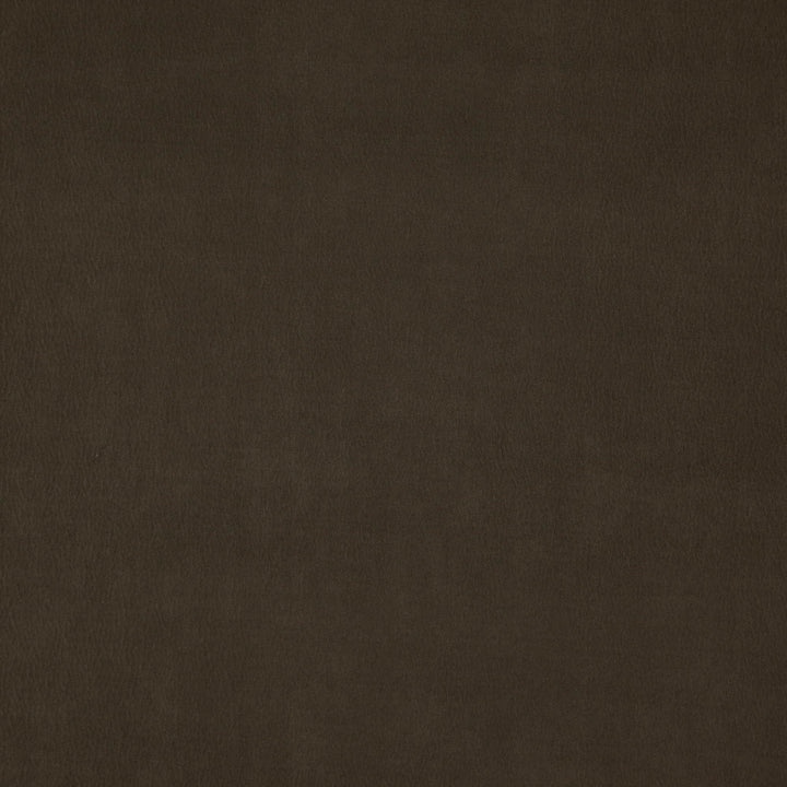 Wisdom 38J7531 by JF Fabric Tannery Basics II Book 100% Polyester China 30000 Horizontal: and Vertical: 55 - Fabric Carolina -