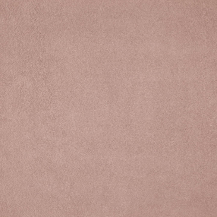 Wisdom 41J7531 by JF Fabric Tannery Basics II Book 100% Polyester China 30000 Horizontal: and Vertical: 55 - Fabric Carolina -