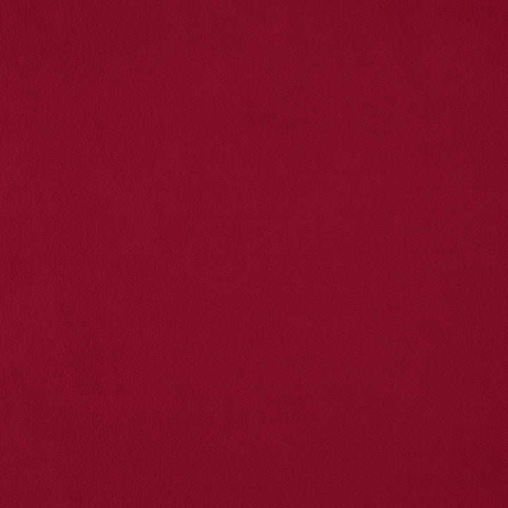 Wisdom 47J7531 by JF Fabric Tannery Basics II Book 100% Polyester China 30000 Horizontal: and Vertical: 55 - Fabric Carolina -