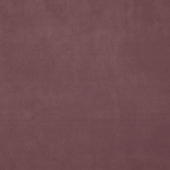 WISDOM 57J7531 by JF Fabric Tannery Basics II Book 100% Polyester China Horizontal: and Vertical: 55 - Fabric Carolina -