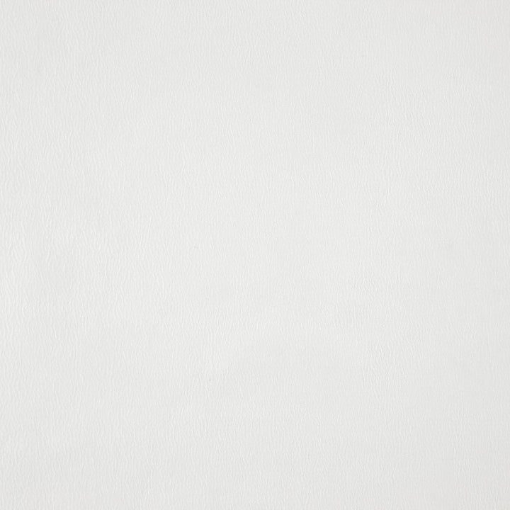 Wisdom 90J7531 by JF Fabric Tannery Basics II Book 100% Polyester China 30000 Horizontal: and Vertical: 55 - Fabric Carolina -