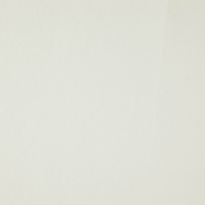 Wisdom 91J7531 by JF Fabric Tannery Basics II Book 100% Polyester China 30000 Horizontal: and Vertical: 55 - Fabric Carolina -