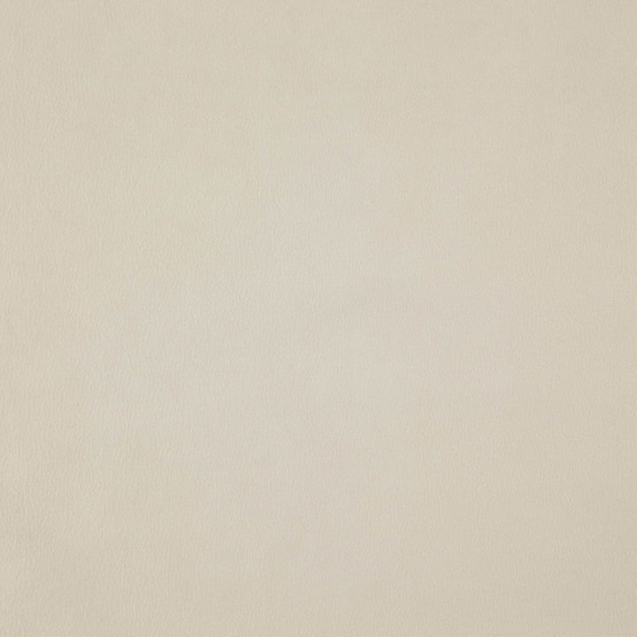 WISDOM 92J7531 by JF Fabric Tannery Basics II Book 100% Polyester China Horizontal: and Vertical: 55 - Fabric Carolina -