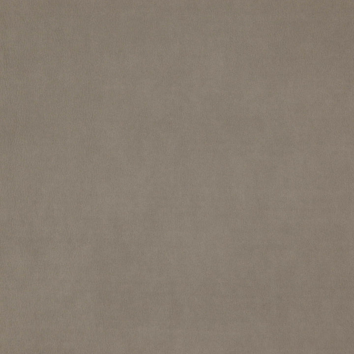 Wisdom 94J7531 by JF Fabric Tannery Basics II Book 100% Polyester China 30000 Horizontal: and Vertical: 55 - Fabric Carolina -