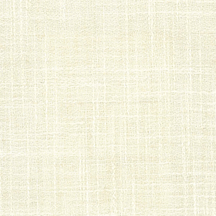 Wistful 1 Cameo by Stout Fabric Curb Appeal 100% Polyester INDIA FLAME RETARDANT-U.F.A.C. CLASS 1 (OR A) FLAME RETARDANT-N.F.P.A. 260A CLASS 1 CATB 117-2013 WYZENBEEK 30 000 DOUBLE RUB WEAR TEST (HEAVY DUTY) Horizontal: 0 and Vertical: 0 54 in - Fabric Carolina -