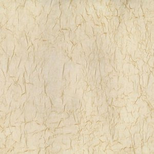 Wistful Champagne by Norbar Fabric SHEER IMAGE 100% POLYESTER TURKEY 114 - Fabric Carolina -