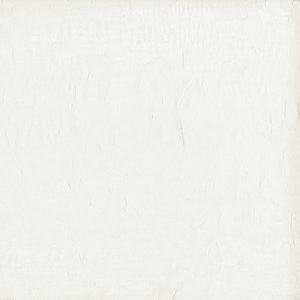 Wistful Coconut by Norbar Fabric