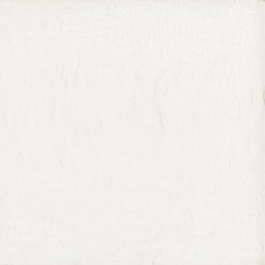 Wistful Coconut by Norbar Fabric SHEER IMAGE 100% POLYESTER TURKEY 114 - Fabric Carolina -