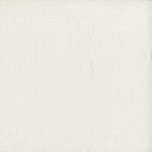 Wistful Vanilla by Norbar Fabric