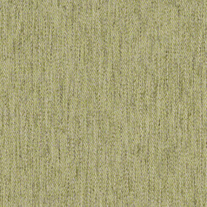 Well Dressed # 1021 Moss by Maxwell Fabric