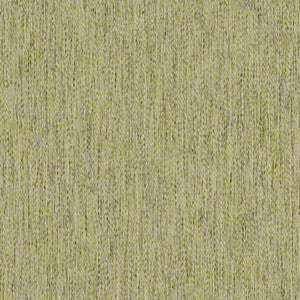 Well Dressed # 1021 Moss by Maxwell Fabric