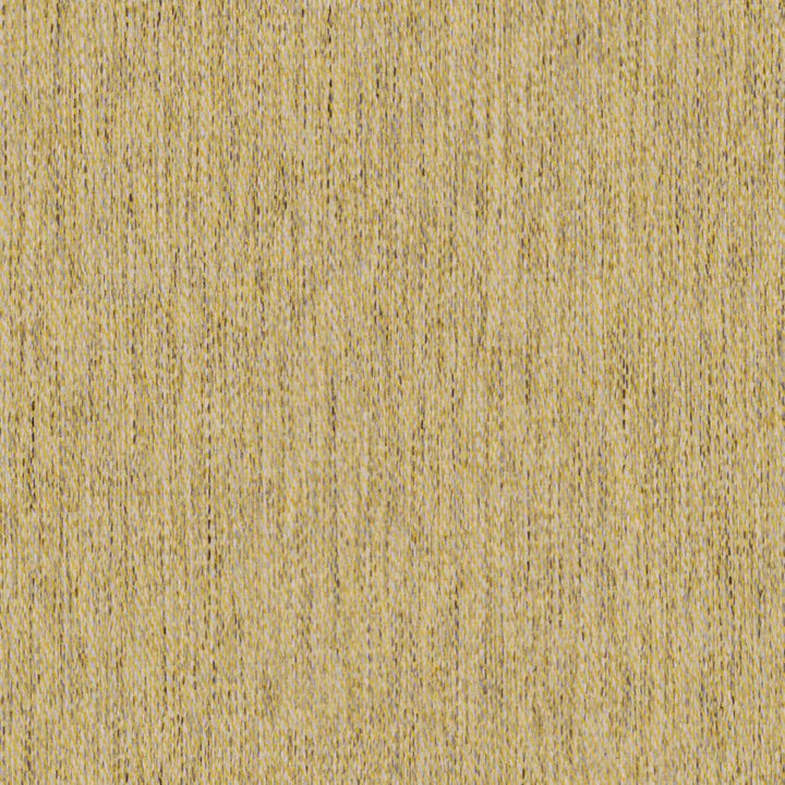 Well Dressed # 978 Honey by Maxwell Fabric Performance Textures V 88% RECYCLED POLYESTER
12% POLYESTER CHINA 57" - Fabric Carolina -
