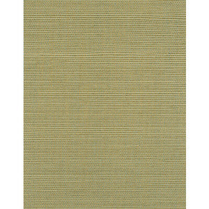 Bermuda Celadon WIW2519.WT.0 by Winfield Thybony Wallcovering