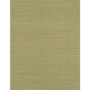 Bermuda Celadon WIW2519.WT.0 by Winfield Thybony Wallcovering