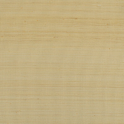 Winfield Thybony - Wallcovering - WIW2520P.WT.0 - Wallcovering - ABACA - 100% - United States </p><p>Repeat: H: , V: 27.5 21 - My Fabric Connection -