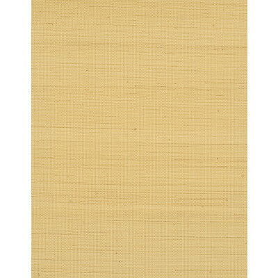 Winfield Thybony - Wallcovering - WIW2535.WT.0 - Wallcovering - ABACA - 100% - United States </p><p>Repeat: H: , V: 27.5 21 - My Fabric Connection -