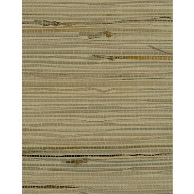Winfield Thybony Wallcovering WIW2558.WT.0 Wallcovering GRASS - 100% United States </p><p>Repeat: H: , V: 27.5 21 - My Fabric Connection -
