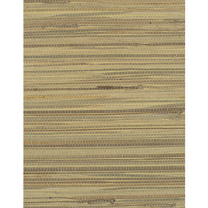 Corenwall Wheat WIW2559.WT.0 by Winfield Thybony Wallcovering