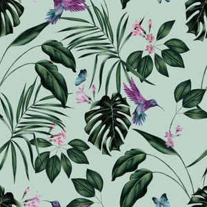 Clivia Mint Hummingbird Wallpaper by ohpopsi