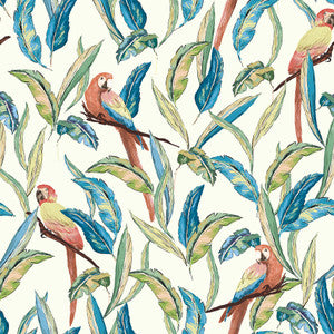 Timor White Tropical Parrot Wallpaper by ohpopsi