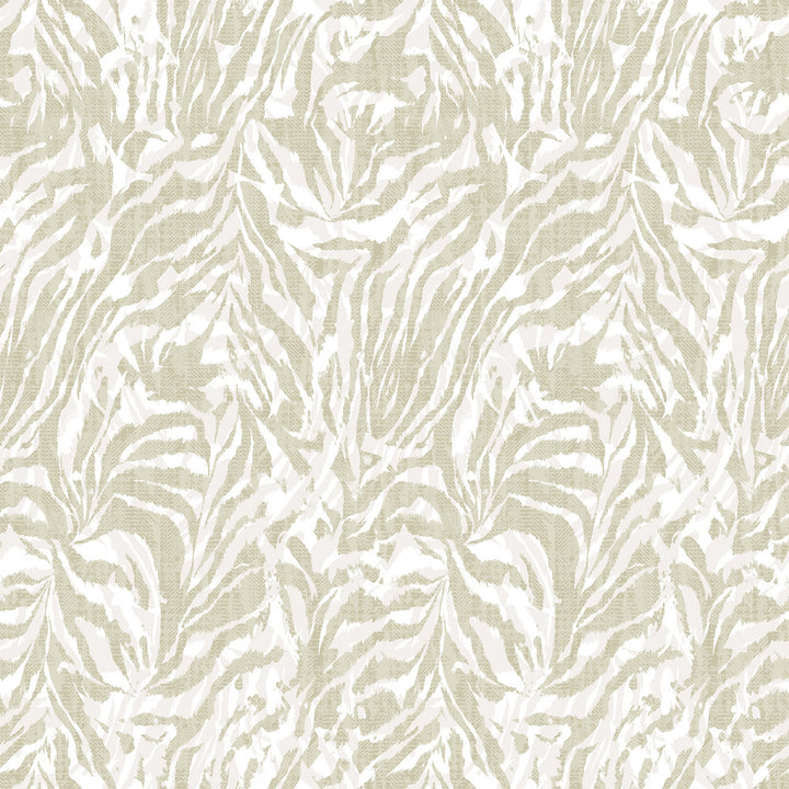 Davy Taupe Zebra Wallpaper by ohpopsi Wild Covers about 54.2 square feet 19.7-in by 33-ft long roll Unpasted 19.7 - Fabric Carolina -