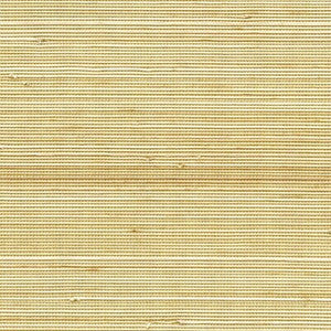 Julius  WNR1125.WT.0 by Winfield Thybony Wallcovering