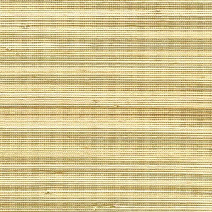 Julius  WNR1125.WT.0 by Winfield Thybony Wallcovering