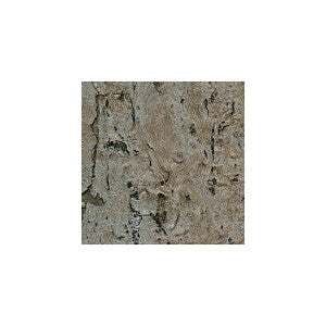 Seville Gunmetalp by Winfield Thybony Wallcovering
