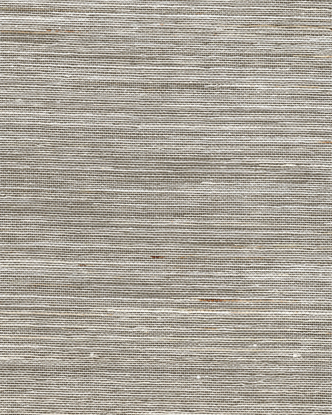 Hazelnut By Winfield Thybony Wallcovering