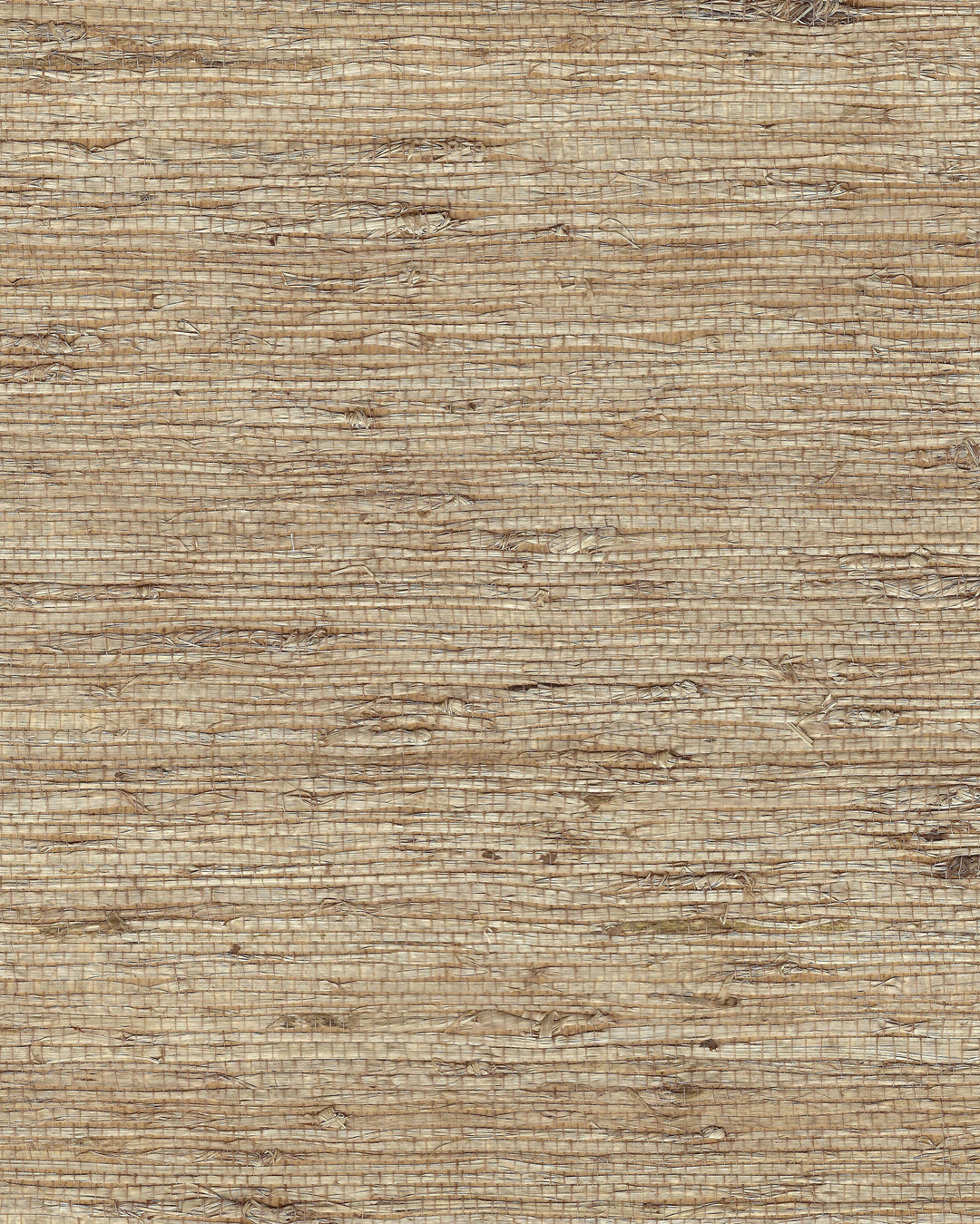 Latte By Winfield Thybony Wallcovering
