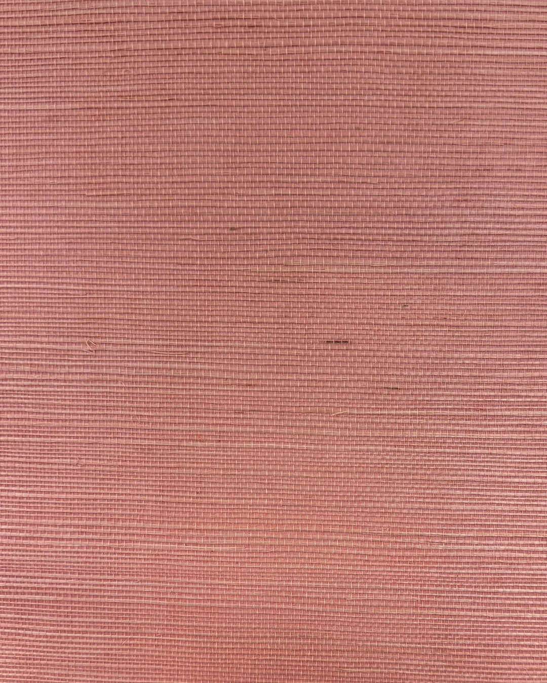 Petal Pink By Winfield Thybony Wallcovering