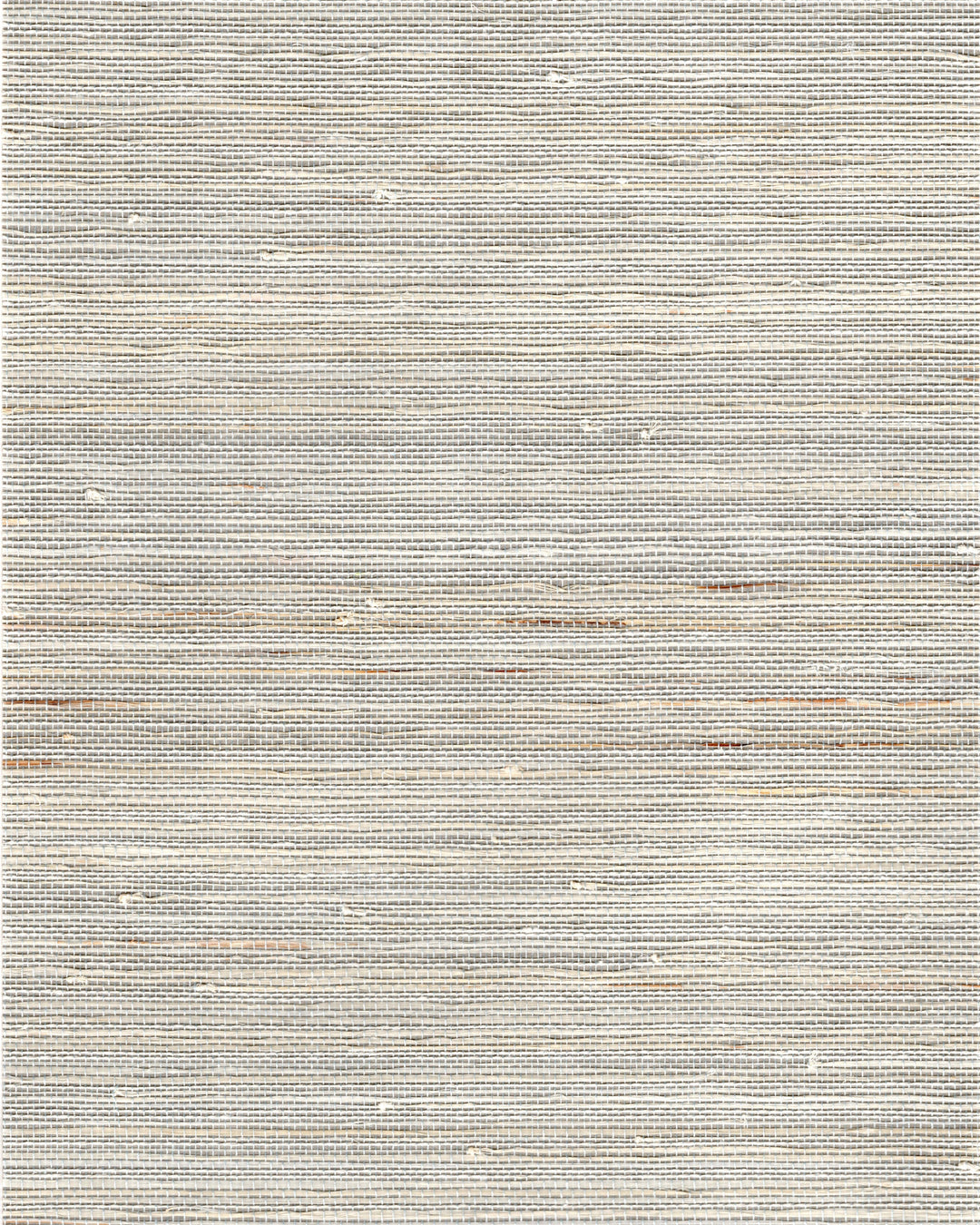 Oatmeal By Winfield Thybony Wallcovering