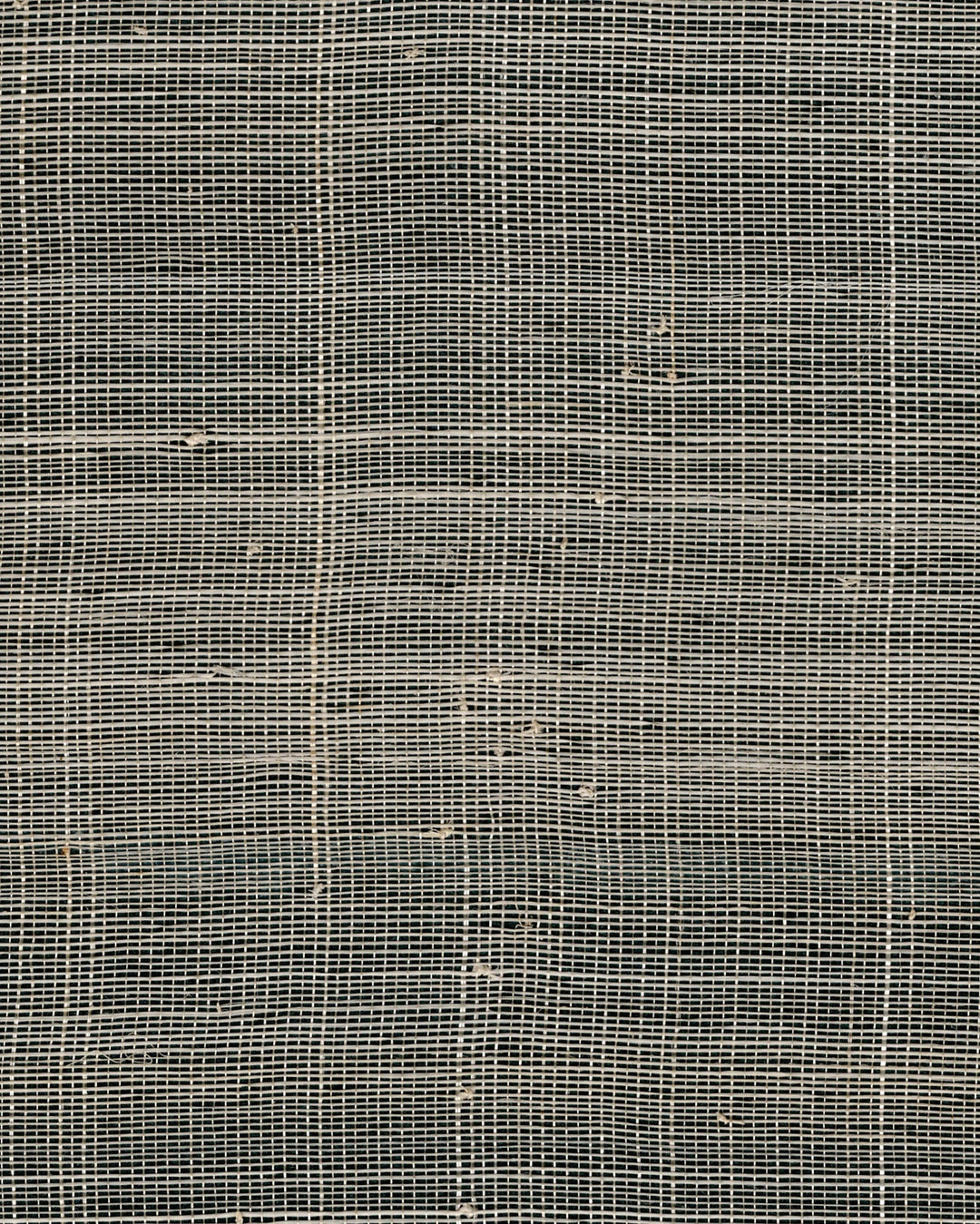 Smoke By Winfield Thybony Wallcovering