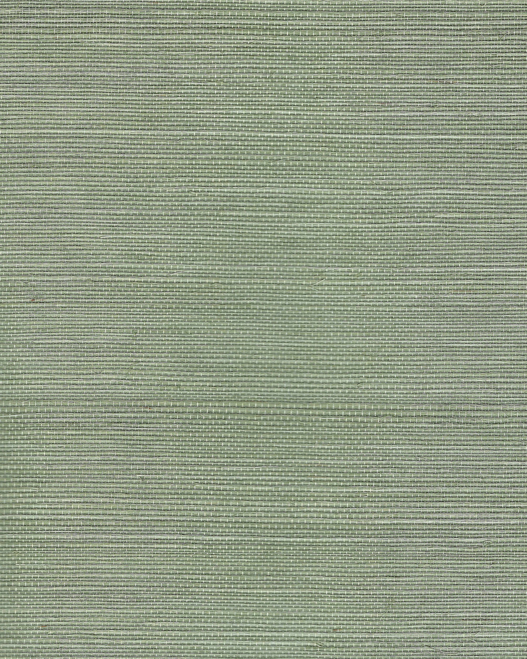 Sprig By Winfield Thybony Wallcovering