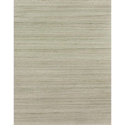 Winfield Thybony Wallcovering WNS5534.WT.0 Wallcovering SILK - 92%;POLYESTER - 8% Netherlands </p><p>Repeat: H: , V: 27.5 21 - My Fabric Connection -