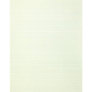 Misheo Mint WNS5548.WT.0 by Winfield Thybony Wallcovering