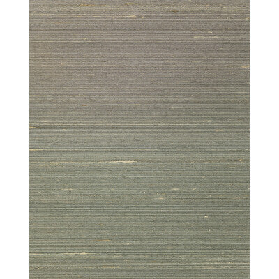 Winfield Thybony Wallcovering WNS5562.WT.0 Wallcovering SILK - 80%;POLYESTER - 20% Netherlands </p><p>Repeat: H: , V: 27.5 21 - My Fabric Connection -