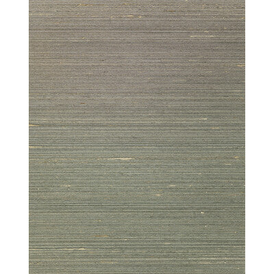 Winfield Thybony - Wallcovering - WNS5562.WT.0 - Wallcovering - SILK - 80%;POLYESTER - 20% - Netherlands </p><p>Repeat: H: , V: 27.5 21 - My Fabric Connection -