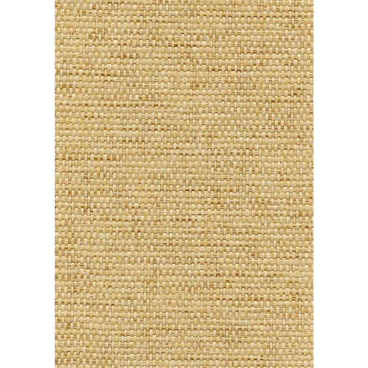 Rosette Weave Blond by Winfield Thybony Wallcovering Winfield Thybony Wallcovering Rosette Weave BlondWallcovering WINFIELD THYBONY PAPERWEAVE - 100% United States </p><p>Repeat: H: 0, V: 0 36 - Fabric Carolina -