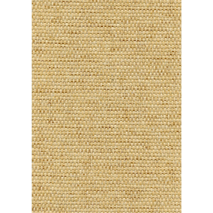 Rosette Weave Blond by Winfield Thybony Wallcovering WINFIELD THYBONY PAPERWEAVE - 100% United States - Horizontal: 0 and Vertical: 0 36 - Fabric Carolina -