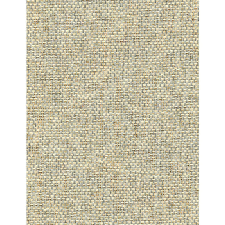 Rosette Weave Powder by Winfield Thybony Wallcovering WINFIELD THYBONY PAPERWEAVE - 100% United States - Horizontal: 0 and Vertical: 0 36 - Fabric Carolina -