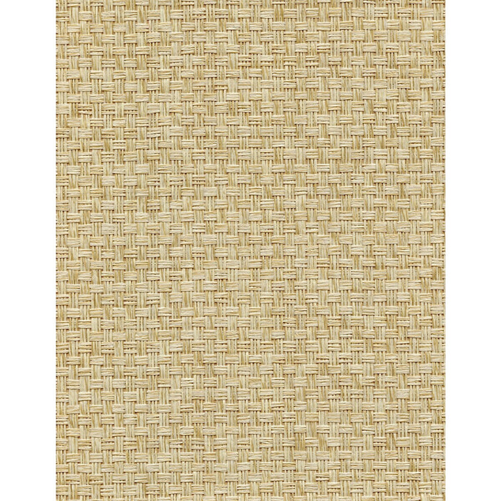 Bridge Weave Ecru by Winfield Thybony Wallcovering WINFIELD THYBONY PAPERWEAVE - 100% United States - Horizontal: 0 and Vertical: 0 36 - Fabric Carolina -