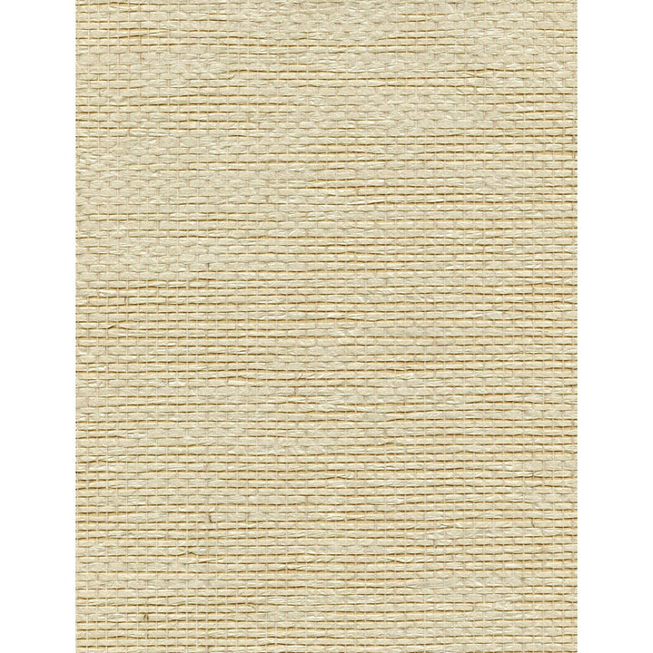 Lyrical Weave Blush by Winfield Thybony Wallcovering Winfield Thybony Wallcovering Lyrical Weave BlushWallcovering WINFIELD THYBONY PAPERWEAVE - 100% United States </p><p>Repeat: H: 0, V: 0 36 - Fabric Carolina -