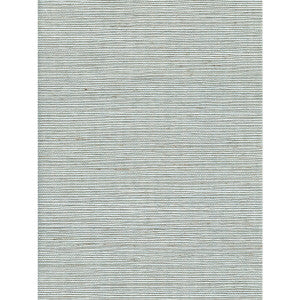 Solo Sisal Peppermint by Winfield Thybony Wallcovering